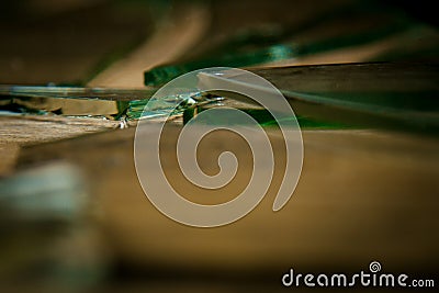 Broken glass on an old wooden floor, concept of violence Stock Photo