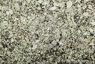 Broken glass shards on a gray background. Background of broken glass fragments. View from above. Stock Photo