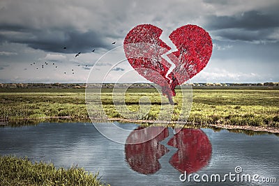 Broken heart tree Stock Photo