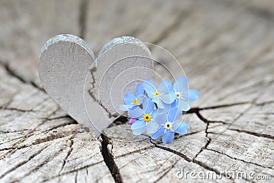 Broken Heart Stock Photo