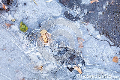 Broken ice crust on frozen puddle in autumn Stock Photo