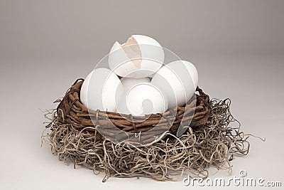 Broken Nest Egg Generic Stock Photo