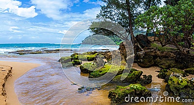 Broken Remains of a Coral Reef at Moloa'a Stream Stock Photo