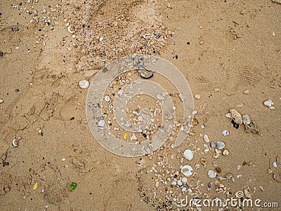 Broken shell on the sand Stock Photo