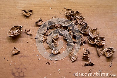 Broken walnut shells scattered on wooden surface, displaying rough textures and irregular shapes Stock Photo