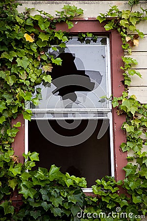 A Broken Window in an Abandoned Building Overgrown With Ivy Stock Photo