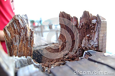 Broken wooden log on a pier deck at Ilhabela beach. Stock Photo