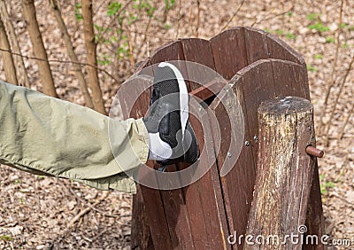 Broking Trash Bin by Vandal, Damaging Wooden Trash Can Stock Photo