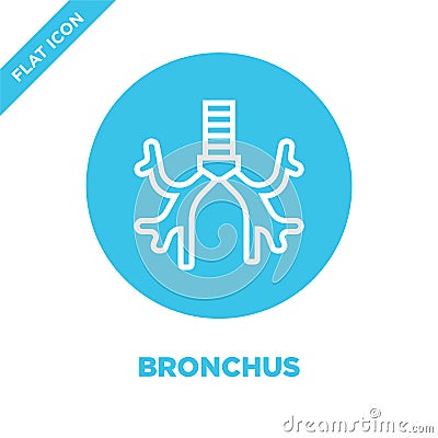 bronchus icon vector from human organs collection. Thin line bronchus outline icon vector illustration. Linear symbol for use on Vector Illustration