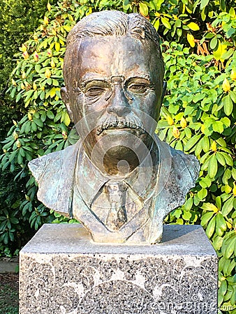 Bronze bust of Theodore Roosevelt Editorial Stock Photo