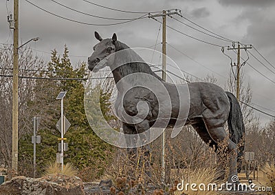 Bronze horse on a traffic circle in the City of Colleyville, Texas. Editorial Stock Photo