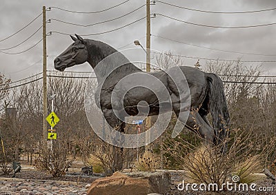 Bronze horse on a traffic circle in the City of Colleyville, Texas. Editorial Stock Photo