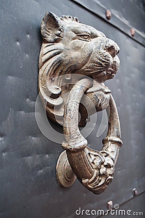 Bronze lion knocker Stock Photo