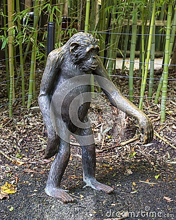 Bronze sculpture titled `Dallas Chimps` by Robert Berry at the Dallas City Zoo. Editorial Stock Photo