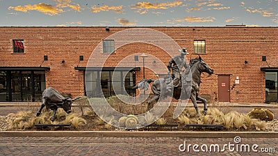 Bronze statue of a cowboy on horseback roping a steer on display at the Fort Worth Stockyards in Texas. Editorial Stock Photo