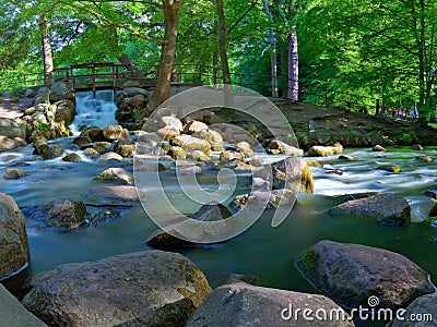 Brook Stock Photo