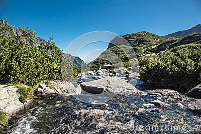 Brook in the high mountains valley. Water with stones natutal landscape. Blue sky in the background. Alpine style scenery Stock Photo