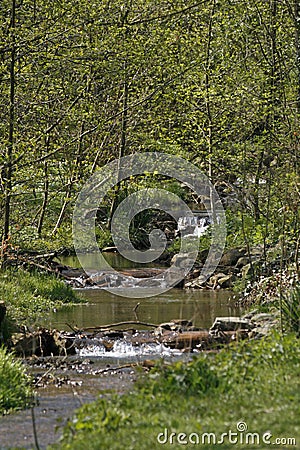 Brook in Lower Saxony, Germany, Europe Stock Photo