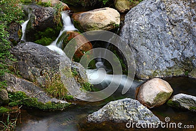 Brook Stock Photo