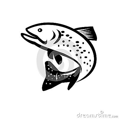 Brook Trout or Brook Char Jumping Up Retro Black and White Vector Illustration