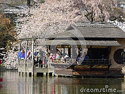 Brooklyn Botanic Garden April 2016 Part 3 31 Editorial Stock Photo