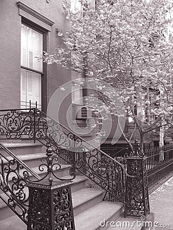 Brooklyn brownstones Stock Photo