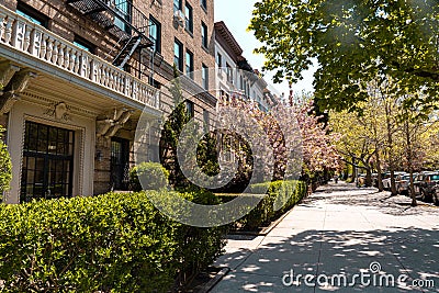 Residential neighborhood of Park Slope, Brooklyn. Brownstones with front yards and sidewalk Editorial Stock Photo