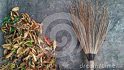 Broom and pile of dry leafs Stock Photo