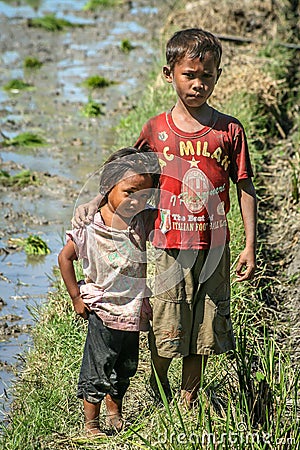 Brother and sister on a ricefield Editorial Stock Photo