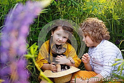 A brother and sister with a small shepherd puppy sit in the grass among a blooming field of lupins at sunset. Bright photos of a Stock Photo