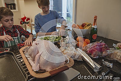 Brothers Helping With Christmas Dinner Stock Photo