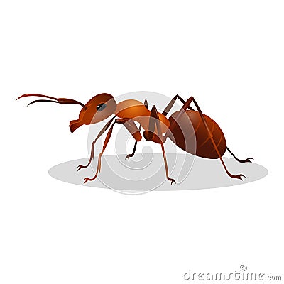 Brown ant on white. Insect icon. Termite. Vector Illustration