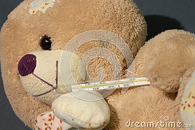 Brown baby teddy bear with thermometer close-up Stock Photo