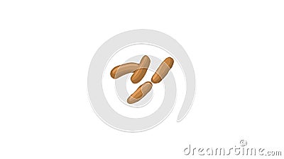 Brown bacillus bacteria with copy space Stock Photo