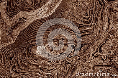 Brown background with tree root pattern Stock Photo
