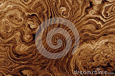 Brown background with tree root pattern Stock Photo