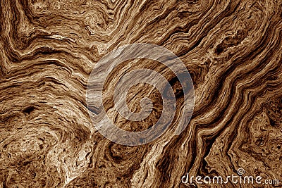 Brown background with tree root pattern Stock Photo