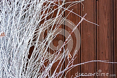 Brown background of wooden vertical boards with white branches on the left Stock Photo