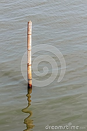 Brown Bamboo Pole in Water Stock Photo