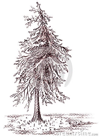 Brown banked monochrome tree sepia sketch Stock Photo