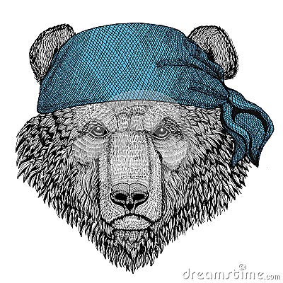 Brown bear Russian bear Wild animal wearing bandana or kerchief or bandanna Image for Pirate Seaman Sailor Biker Stock Photo