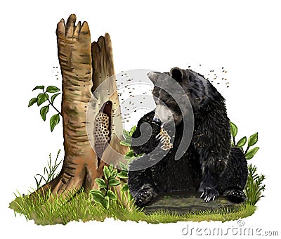 A brown bear who loves honey eats a beehive sitting on a stone Stock Photo