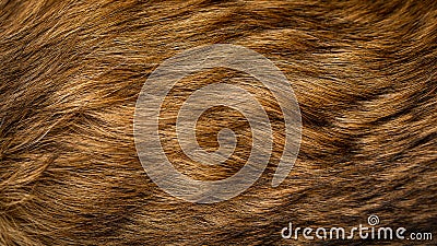 Brown and beige dog fur texture Stock Photo