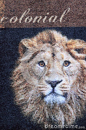 Floor mat home decoration detail with lion pictured on it