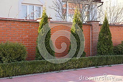 Brown brick fence and green coniferous ornamental trees and bushes on the street by the road Stock Photo
