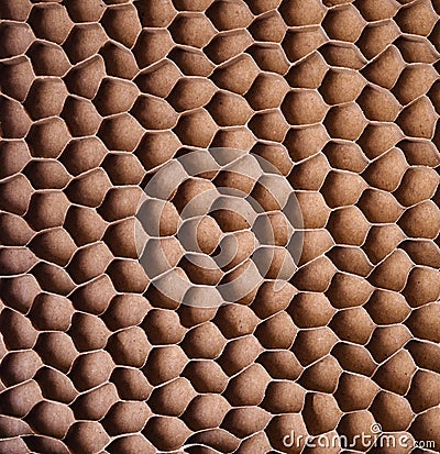 Brown textured raised depressed bumpy for backgrounds and textures Stock Photo