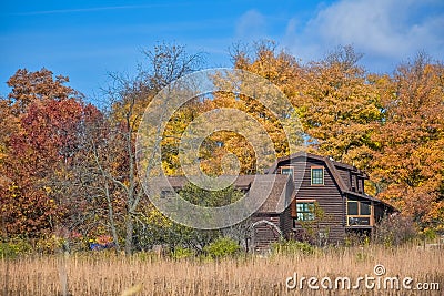 Brown Cabin in Autumn Woods Stock Photo