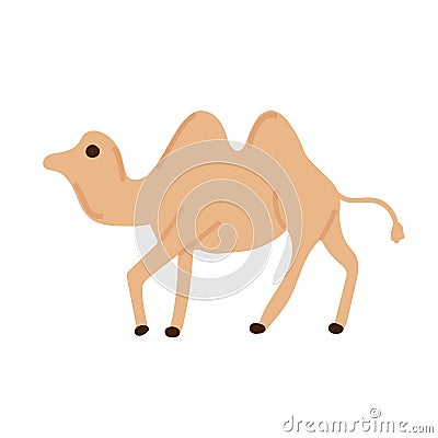 Brown camel with two humps. Hand drawn vector illustration isolated on white background Cartoon Illustration