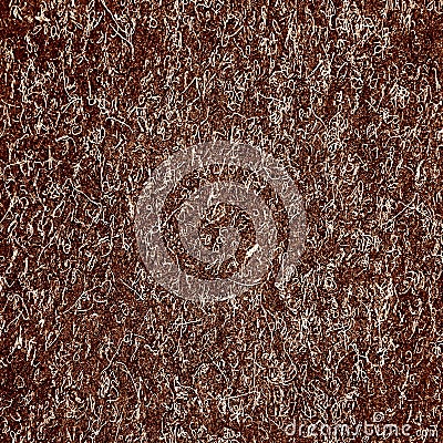 Brown carpet Stock Photo