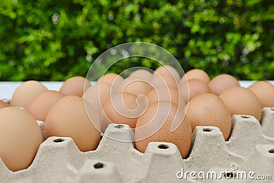 Brown chicken eggs in egg carton. Fresh chicken eggs background. Side view. Stock Photo